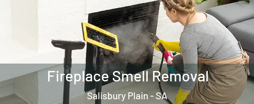  Fireplace Smell Removal Salisbury Plain - SA