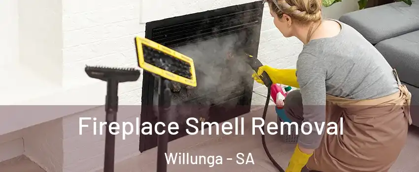  Fireplace Smell Removal Willunga - SA