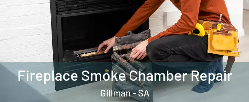 Fireplace Smoke Chamber Repair Gillman - SA