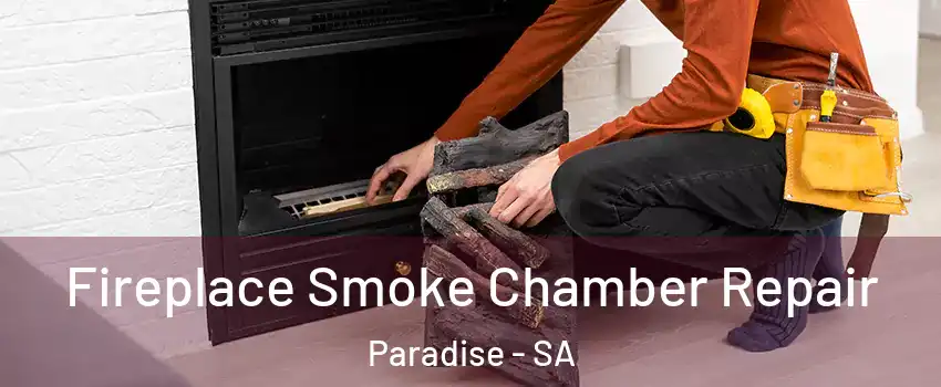  Fireplace Smoke Chamber Repair Paradise - SA