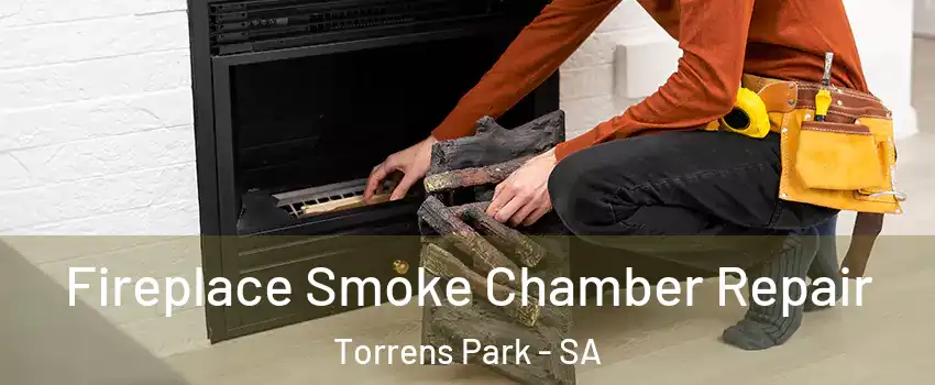  Fireplace Smoke Chamber Repair Torrens Park - SA