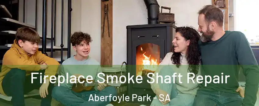 Fireplace Smoke Shaft Repair Aberfoyle Park - SA
