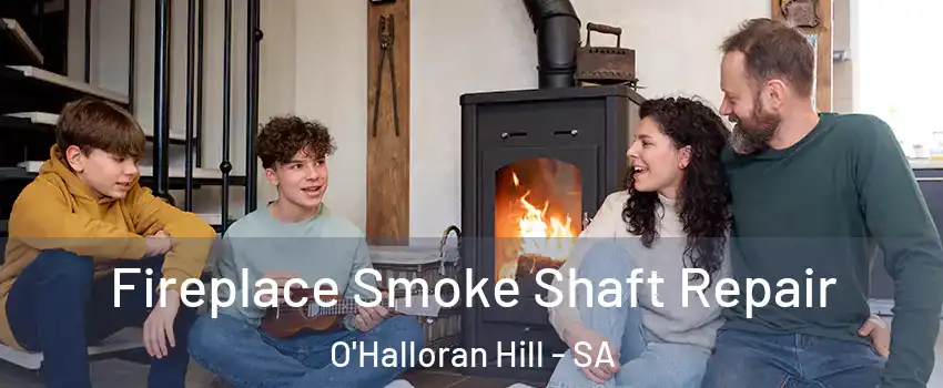  Fireplace Smoke Shaft Repair O'Halloran Hill - SA