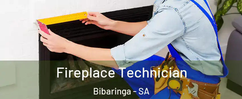 Fireplace Technician Bibaringa - SA