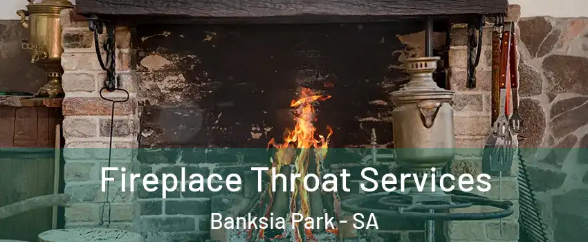 Fireplace Throat Services Banksia Park - SA