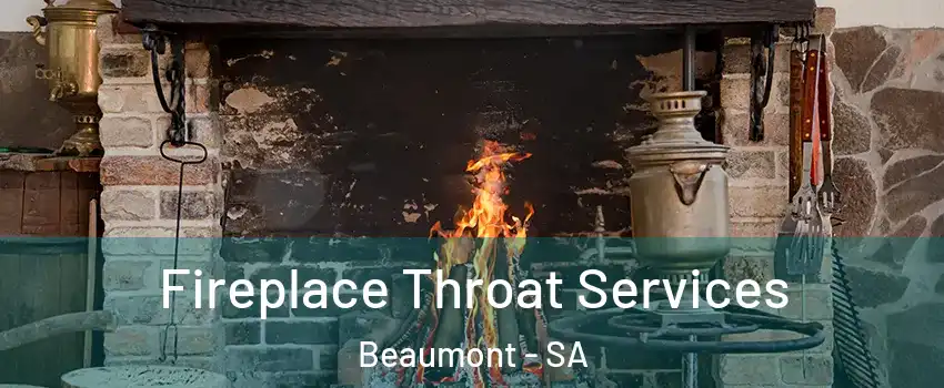 Fireplace Throat Services Beaumont - SA
