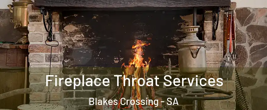  Fireplace Throat Services Blakes Crossing - SA