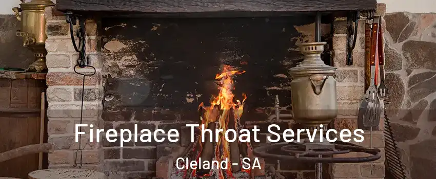 Fireplace Throat Services Cleland - SA