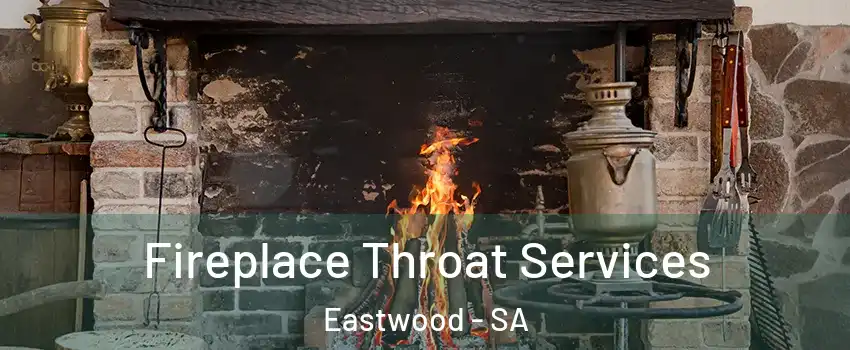 Fireplace Throat Services Eastwood - SA