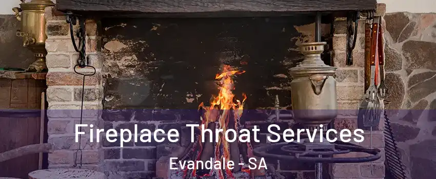  Fireplace Throat Services Evandale - SA