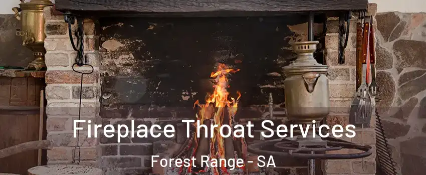 Fireplace Throat Services Forest Range - SA