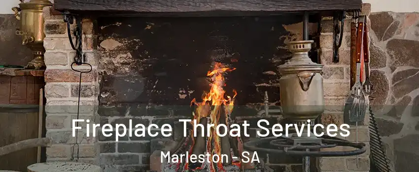  Fireplace Throat Services Marleston - SA