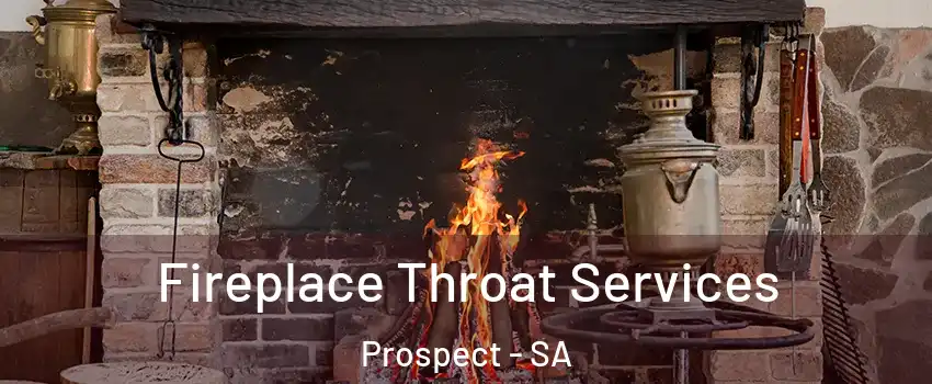  Fireplace Throat Services Prospect - SA