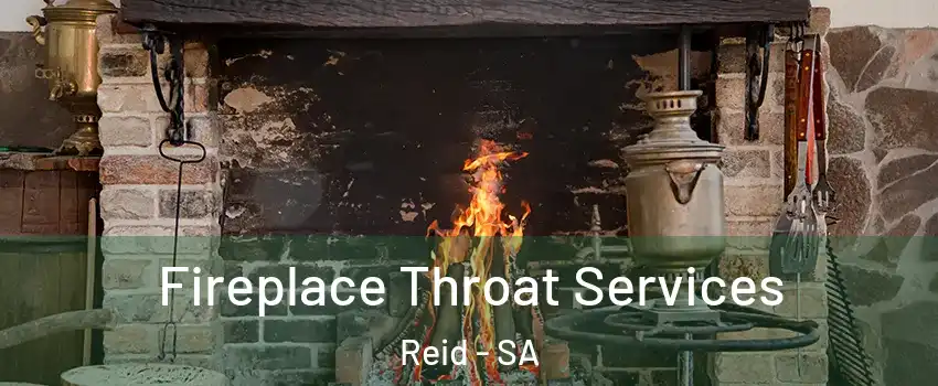  Fireplace Throat Services Reid - SA