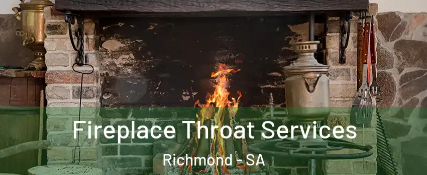  Fireplace Throat Services Richmond - SA