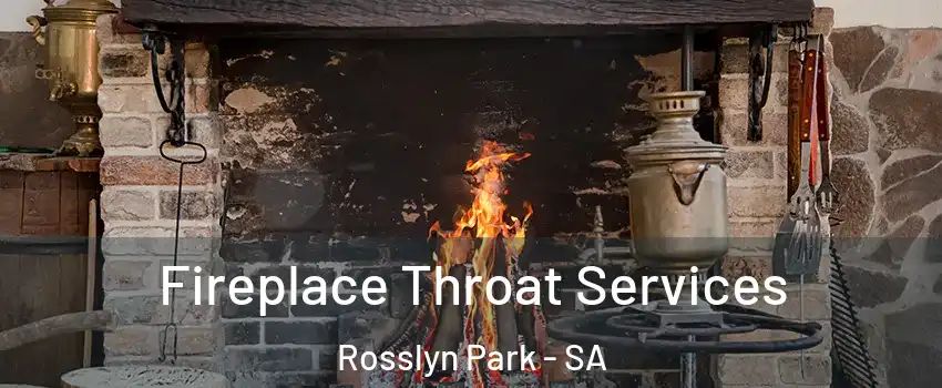  Fireplace Throat Services Rosslyn Park - SA