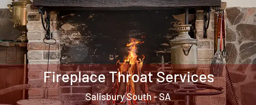  Fireplace Throat Services Salisbury South - SA