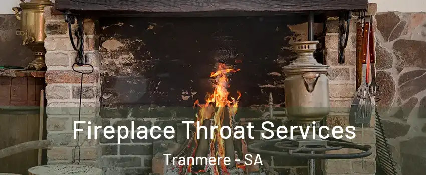  Fireplace Throat Services Tranmere - SA
