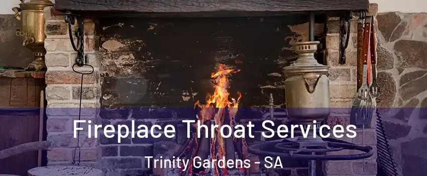  Fireplace Throat Services Trinity Gardens - SA