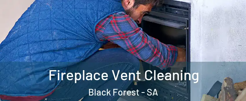 Fireplace Vent Cleaning Black Forest - SA
