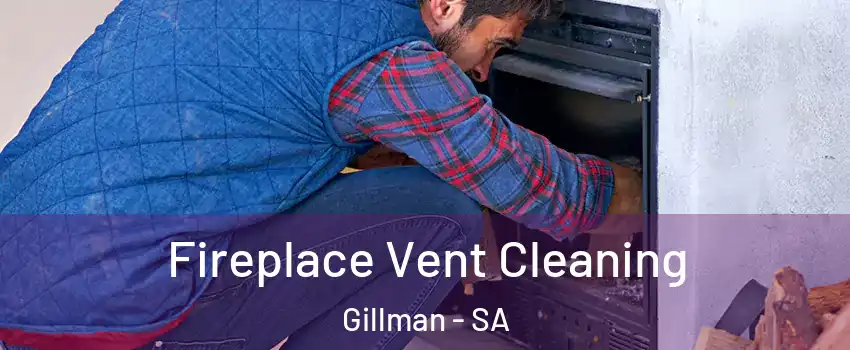 Fireplace Vent Cleaning Gillman - SA
