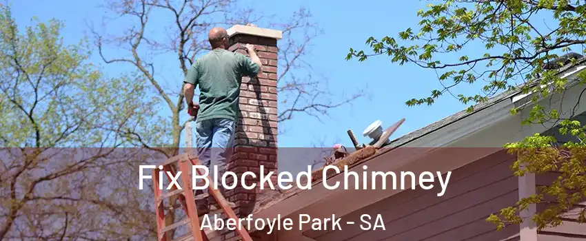 Fix Blocked Chimney Aberfoyle Park - SA