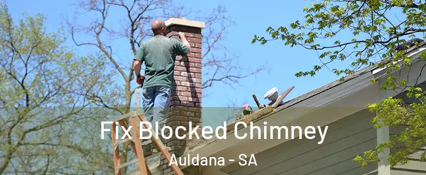 Fix Blocked Chimney Auldana - SA