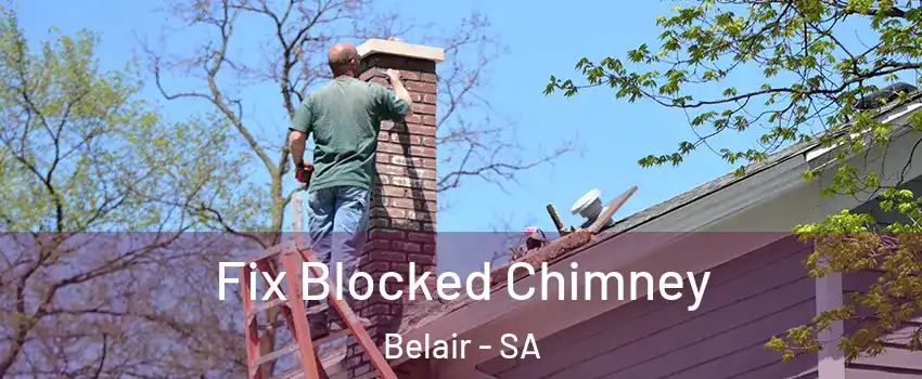 Fix Blocked Chimney Belair - SA