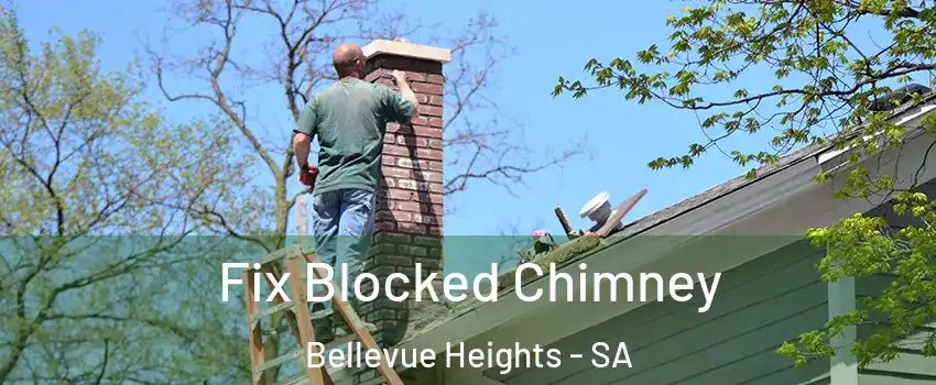 Fix Blocked Chimney Bellevue Heights - SA