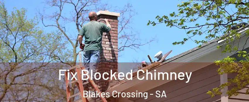 Fix Blocked Chimney Blakes Crossing - SA