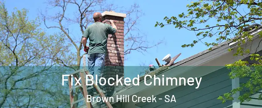 Fix Blocked Chimney Brown Hill Creek - SA