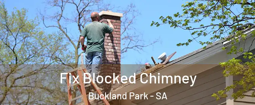 Fix Blocked Chimney Buckland Park - SA