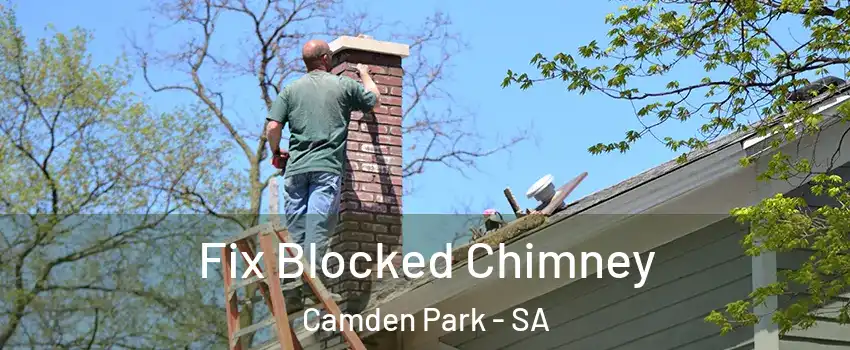 Fix Blocked Chimney Camden Park - SA