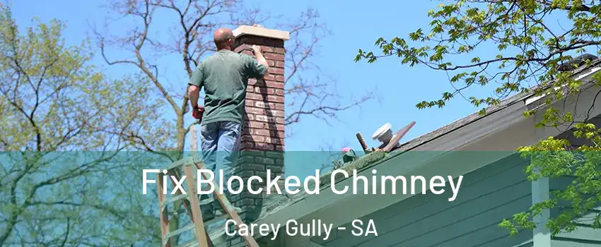 Fix Blocked Chimney Carey Gully - SA