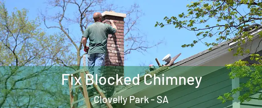 Fix Blocked Chimney Clovelly Park - SA