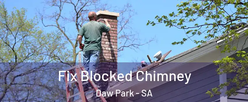Fix Blocked Chimney Daw Park - SA
