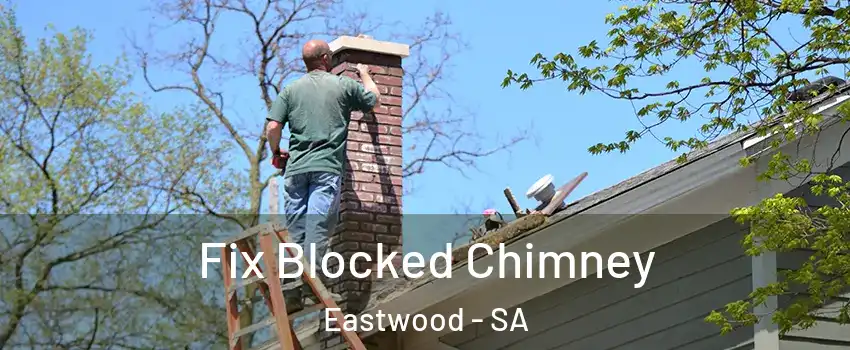 Fix Blocked Chimney Eastwood - SA
