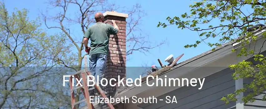 Fix Blocked Chimney Elizabeth South - SA