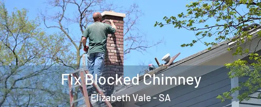 Fix Blocked Chimney Elizabeth Vale - SA