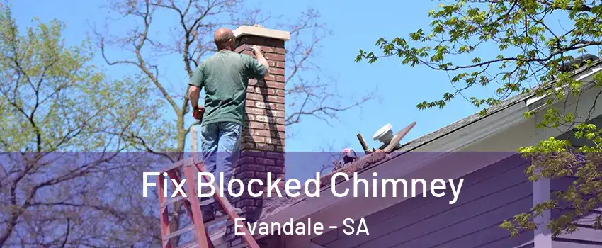 Fix Blocked Chimney Evandale - SA