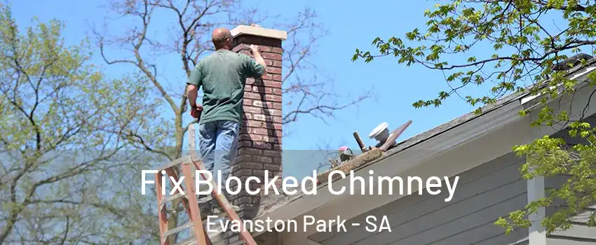 Fix Blocked Chimney Evanston Park - SA