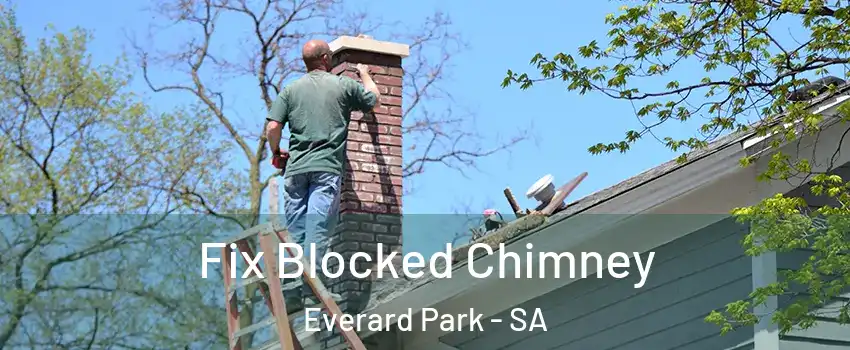 Fix Blocked Chimney Everard Park - SA
