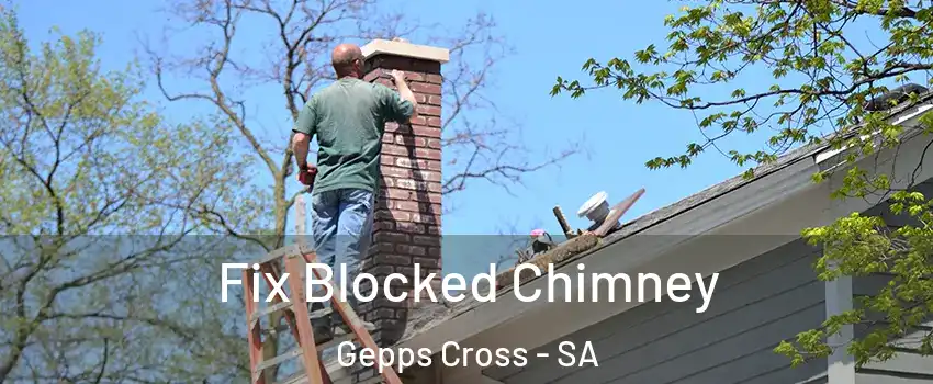 Fix Blocked Chimney Gepps Cross - SA