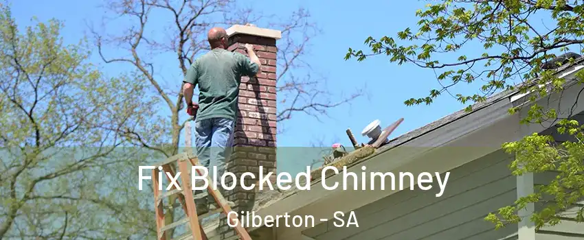 Fix Blocked Chimney Gilberton - SA