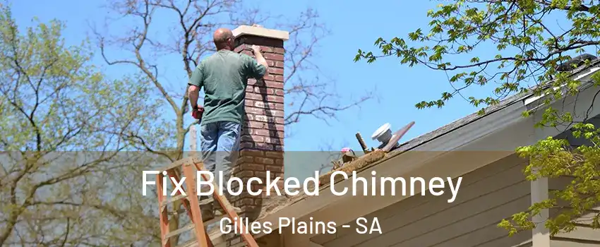 Fix Blocked Chimney Gilles Plains - SA