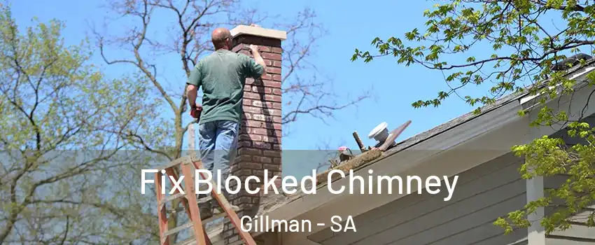 Fix Blocked Chimney Gillman - SA