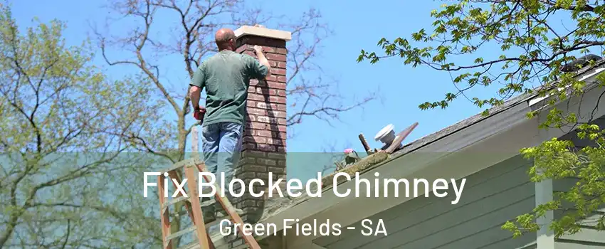 Fix Blocked Chimney Green Fields - SA