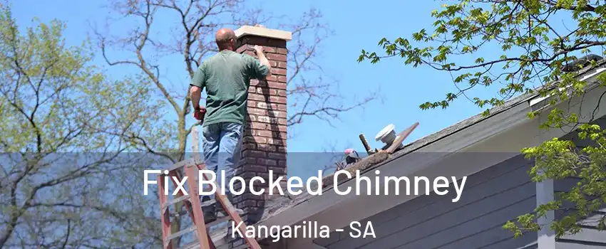  Fix Blocked Chimney Kangarilla - SA