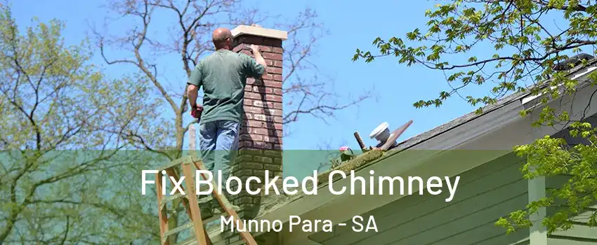  Fix Blocked Chimney Munno Para - SA