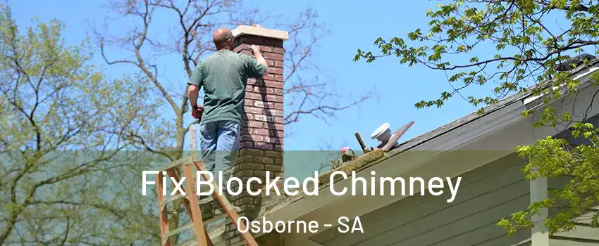  Fix Blocked Chimney Osborne - SA